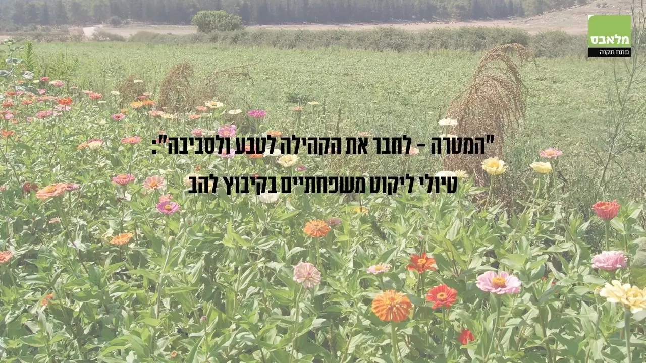 קיבוץ להב - מלאבס